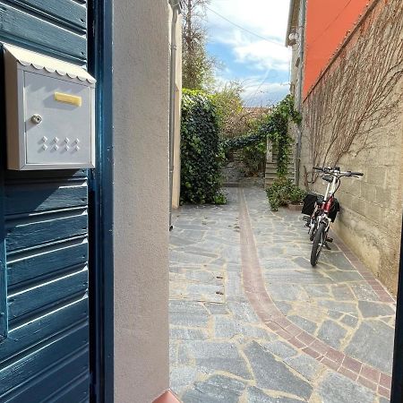 Studio Cabine A Collioure, A 100M De La Plage Et Des Commerces - Fr-1-309-153 Dış mekan fotoğraf