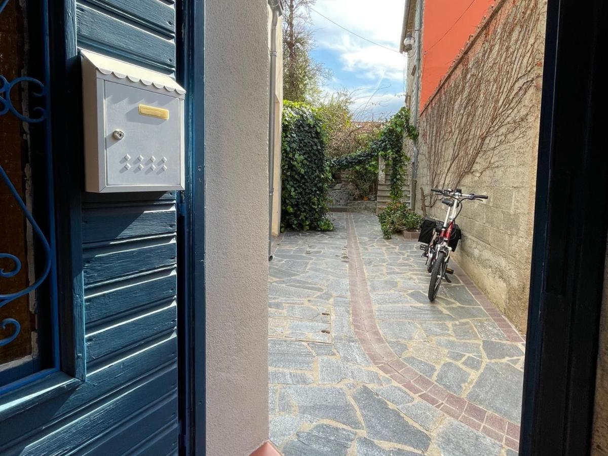 Studio Cabine A Collioure, A 100M De La Plage Et Des Commerces - Fr-1-309-153 Dış mekan fotoğraf